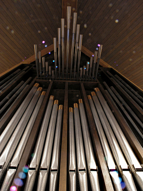 St Paul Lutheran Pipes behind choir