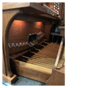 Faye Ingle Organ2